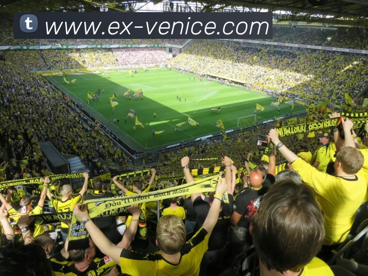 威尼斯人娱乐网站服务体系