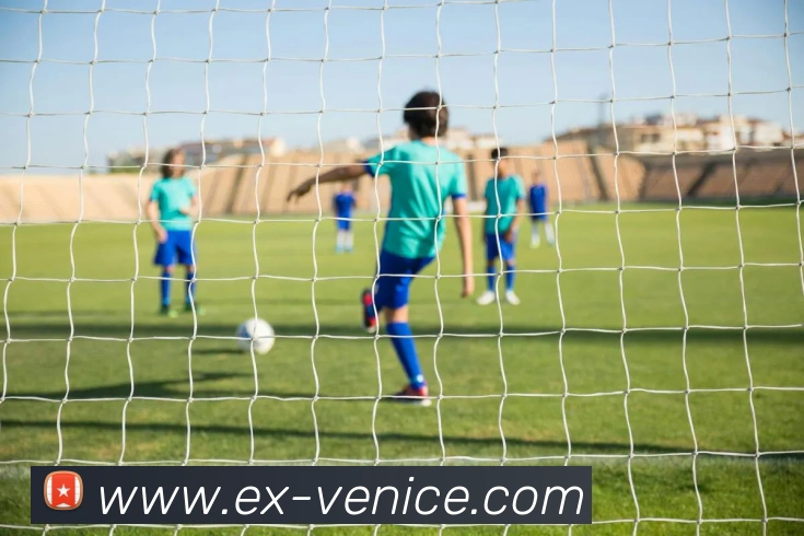 多媒体互动体验